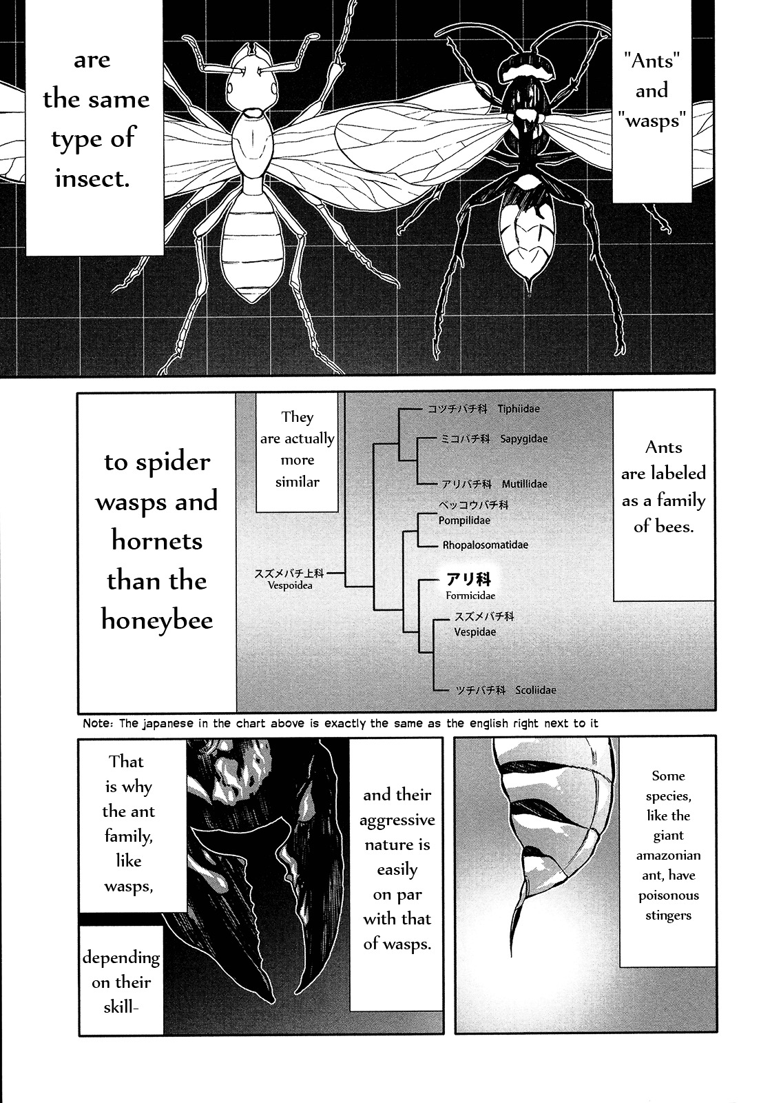 Arachnid Chapter 46 #13