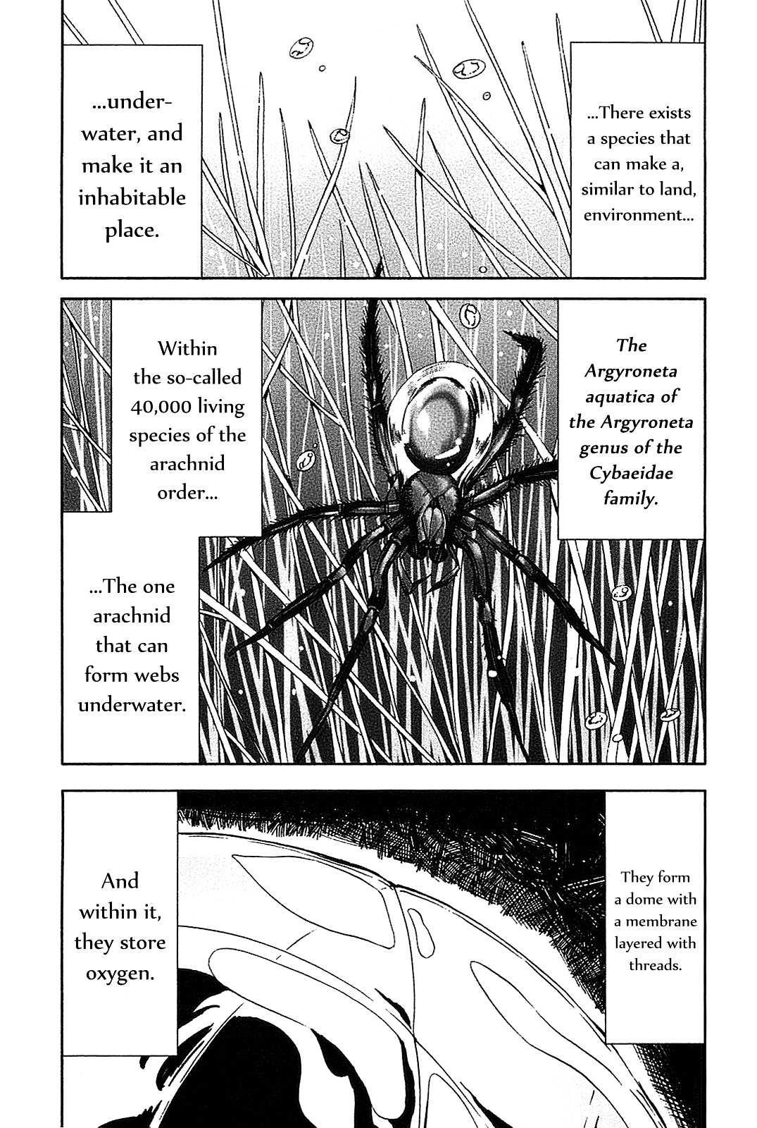 Arachnid Chapter 20 #14