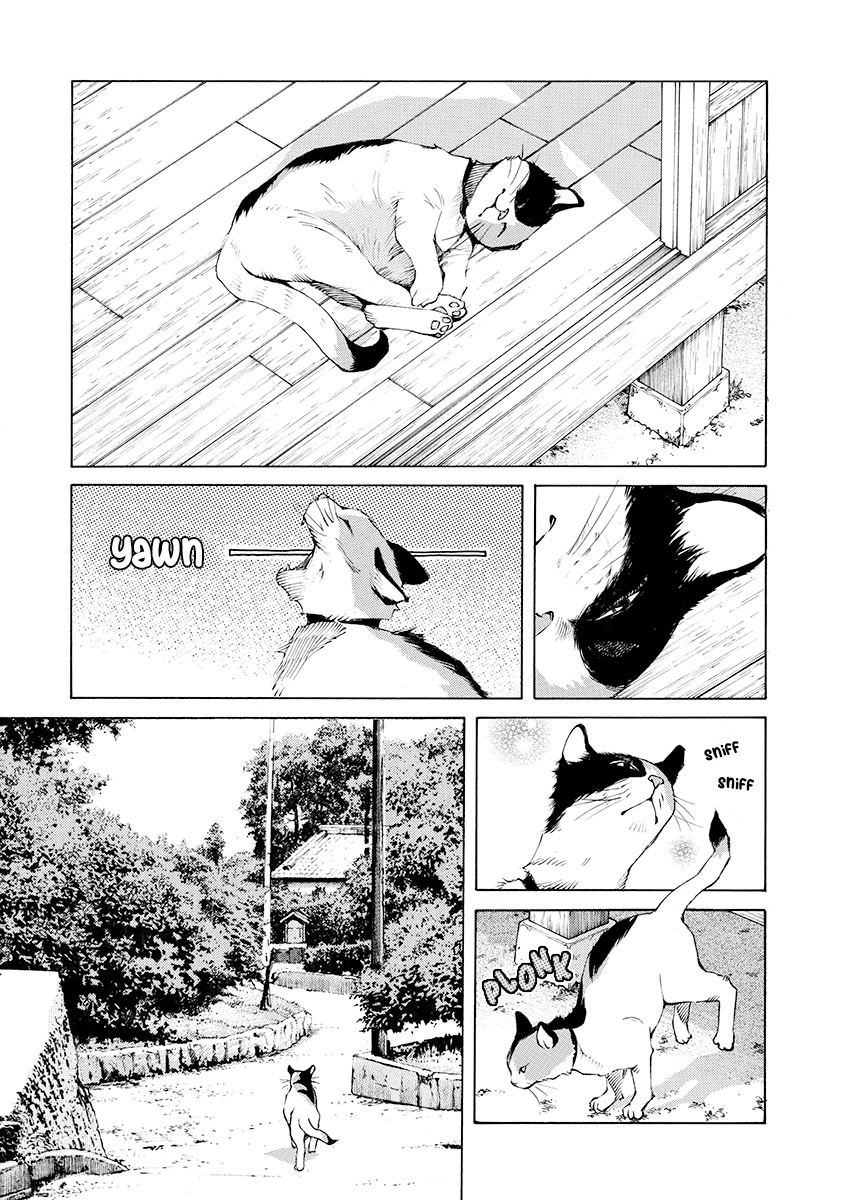 Ao No Shima To Neko Ippiki Chapter 9 #14