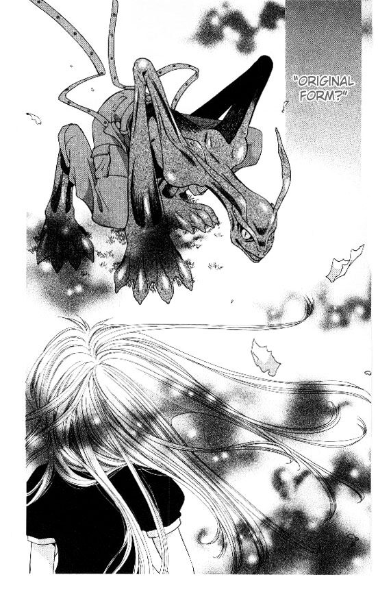 Fruits Basket Another Chapter 33 #5