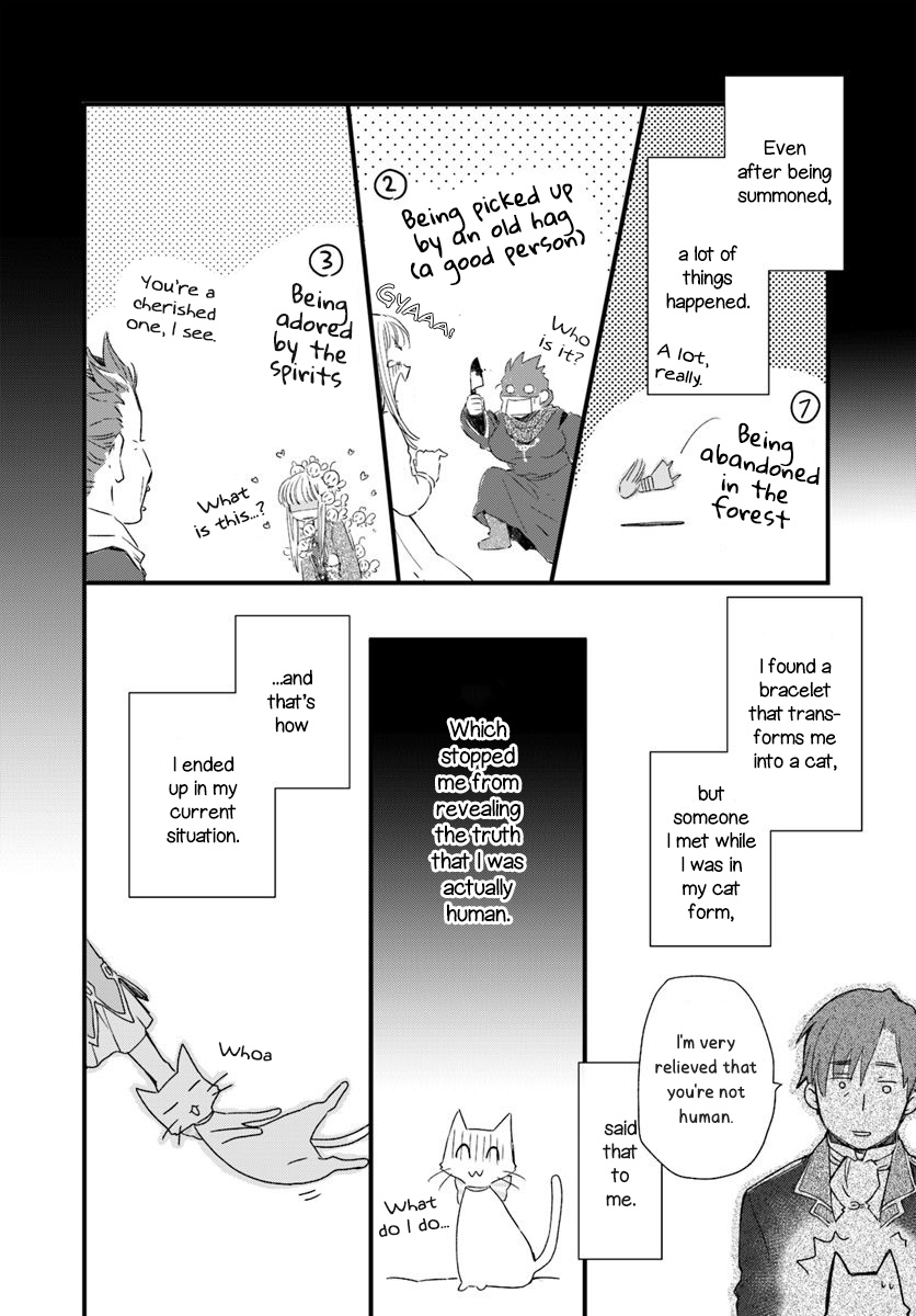 Fukushuu Wo Chikatta Shironeko Wa Ryuuou No Hiza No Jou De Damin Wo Musaboru Chapter 17 #4