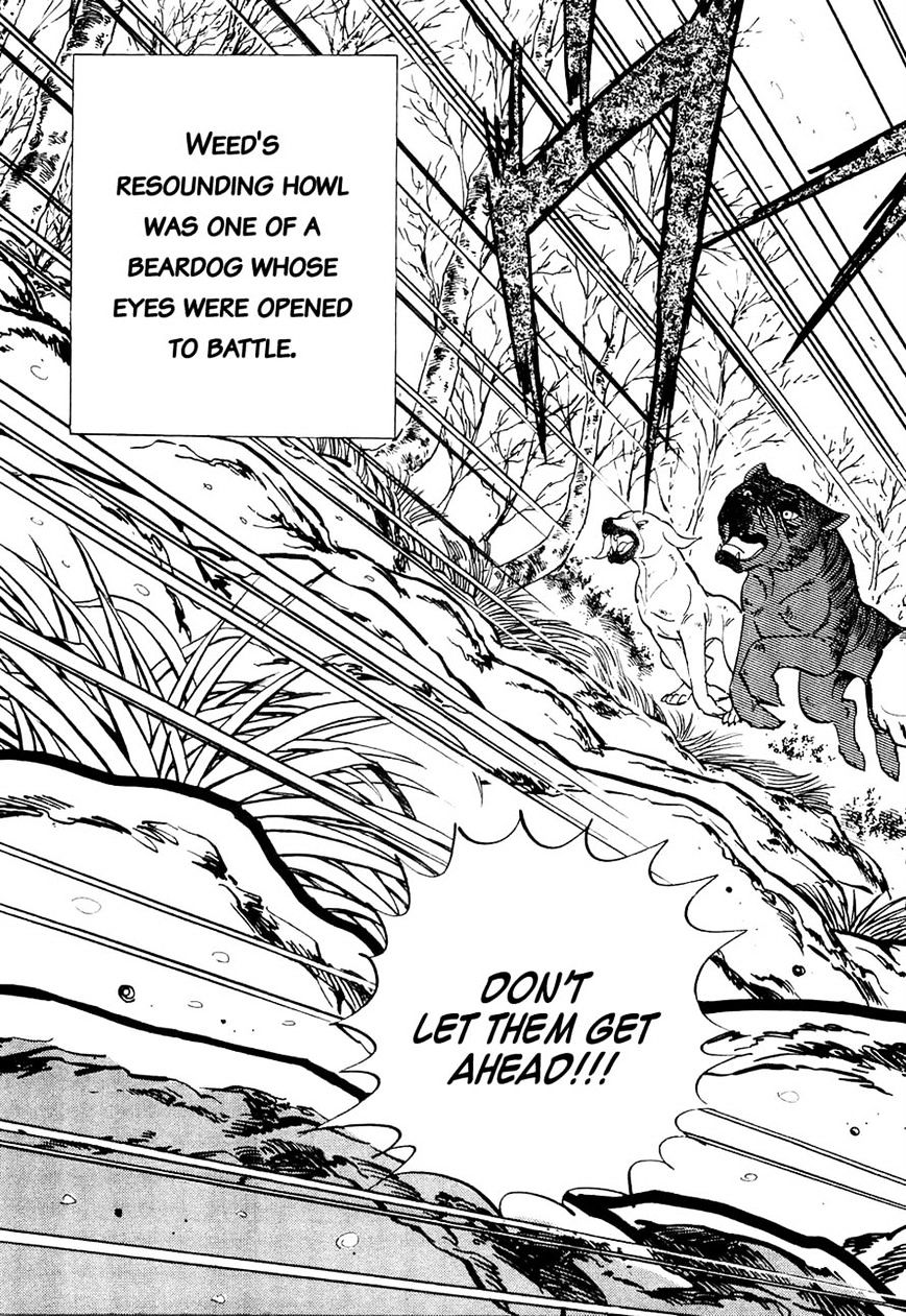 Ginga Densetsu Weed Chapter 29 #16