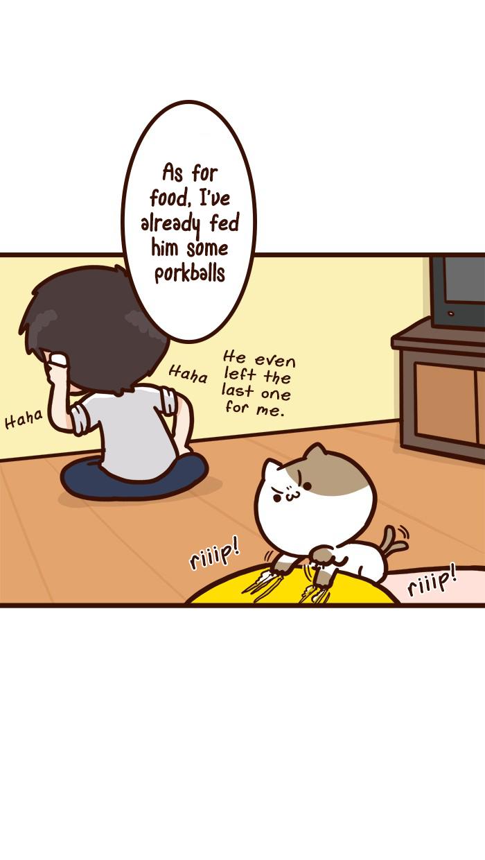 The Salary Man & Tofu The Funny Cat Chapter 8 #13