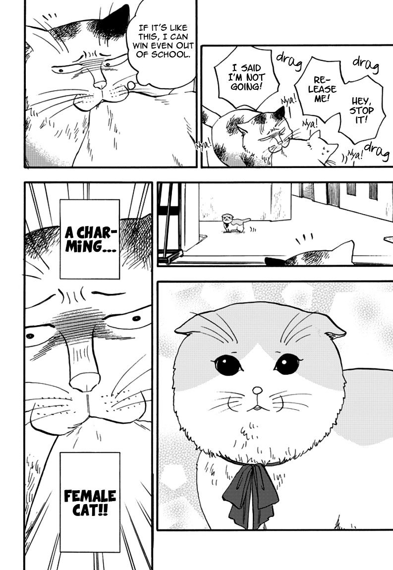 Ore Wa Busamen - Neko Tsudzuri Chapter 2 #16