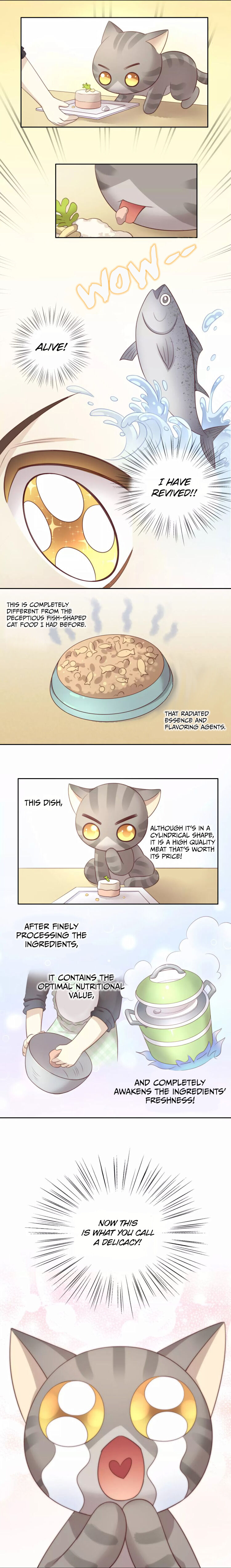 Under The Paws Of Cats Chapter 24 #7