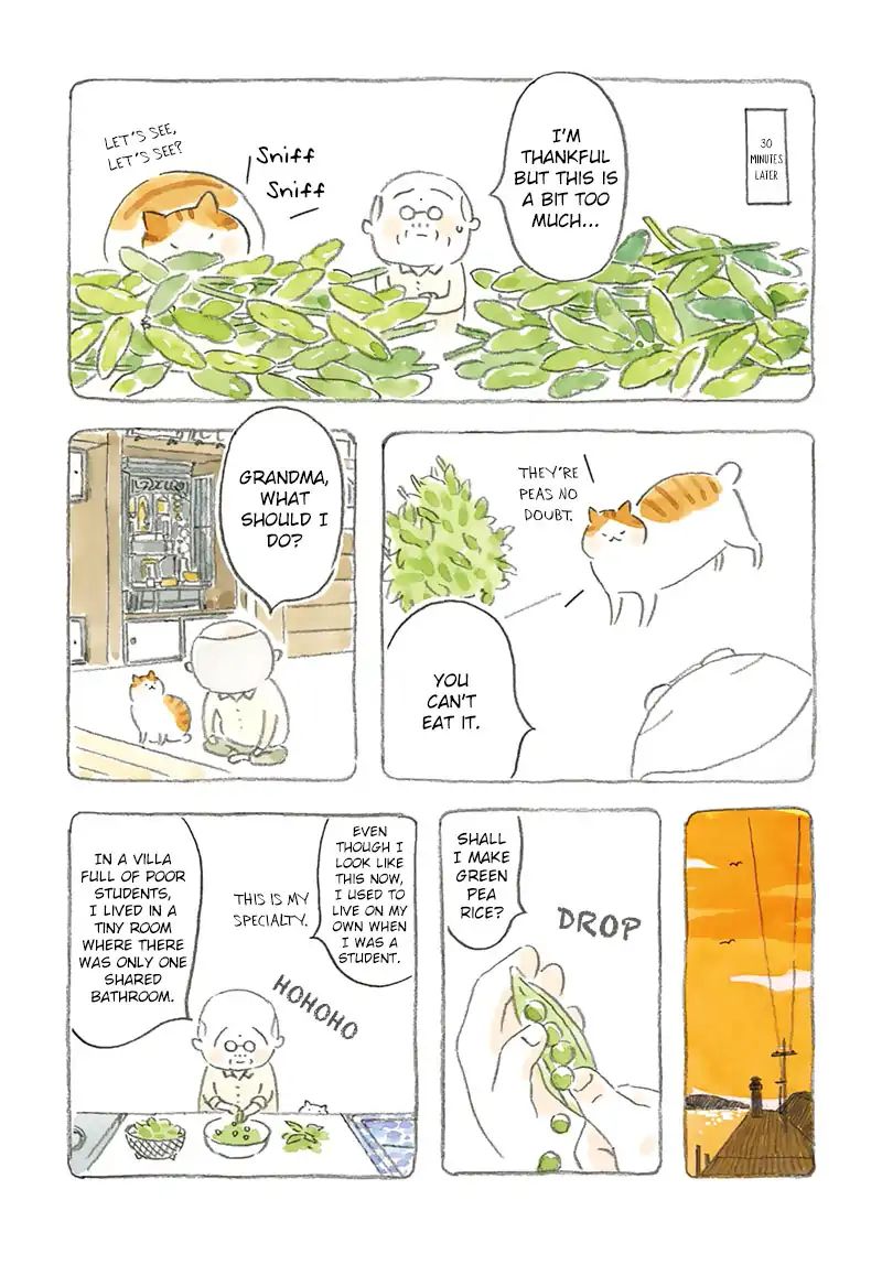 Cat And Grandpa Chapter 3 #4