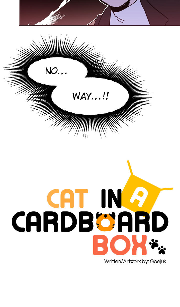 Cat In A Cardboard Box Chapter 21 #23