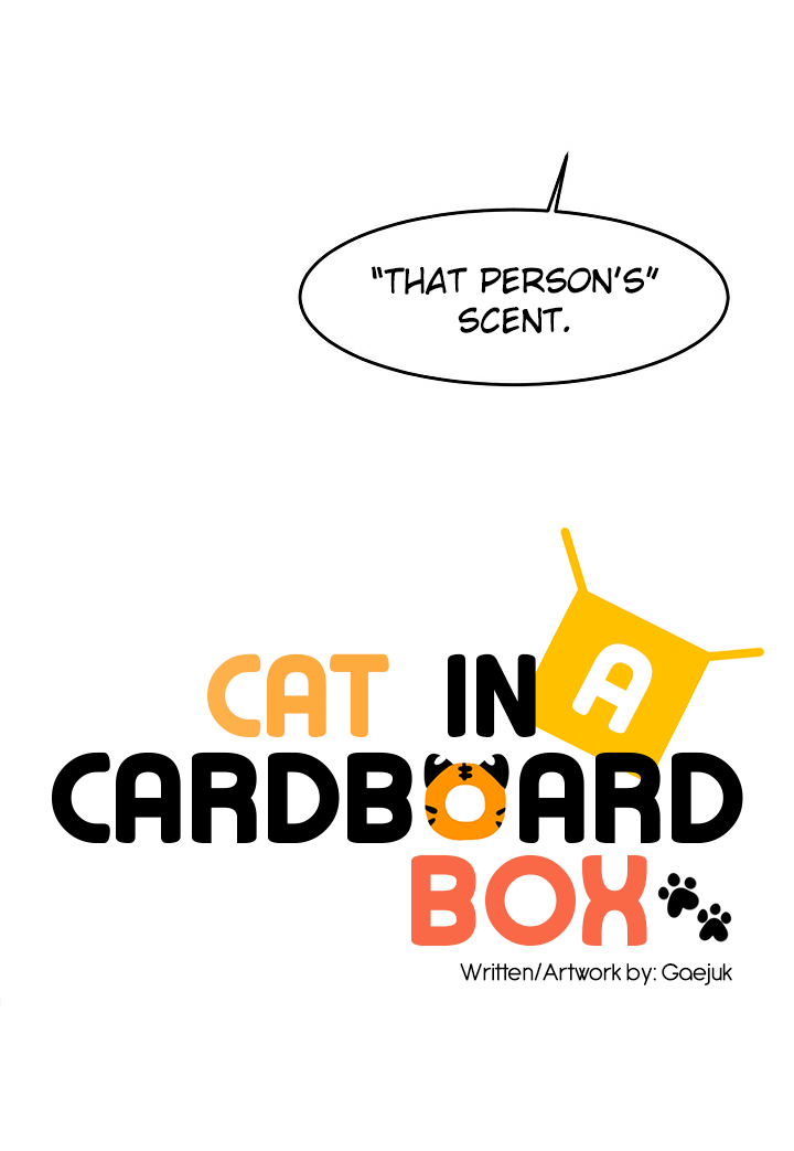 Cat In A Cardboard Box Chapter 17 #23