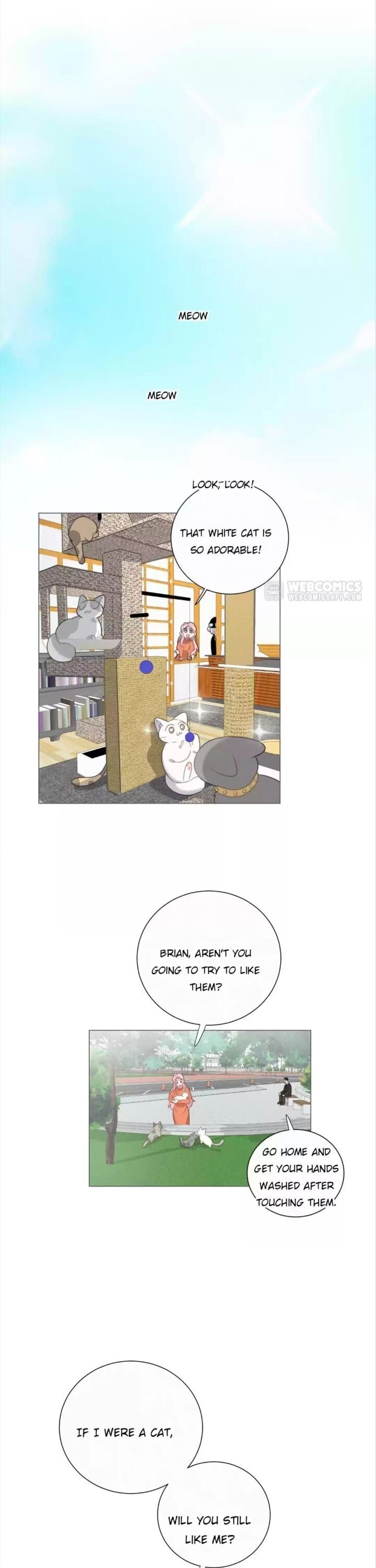 A Cat's World Chapter 79 #1