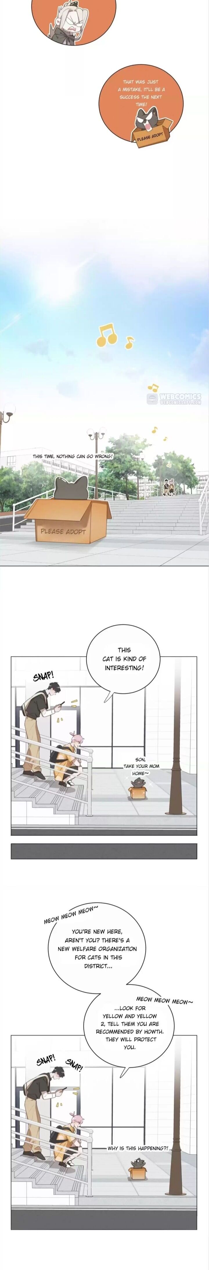 A Cat's World Chapter 74 #8
