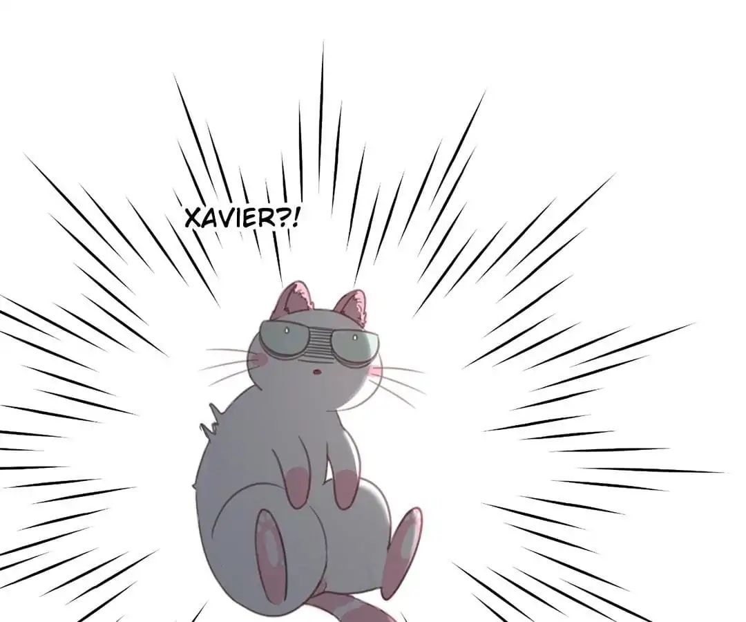 A Cat's World Chapter 12 #43