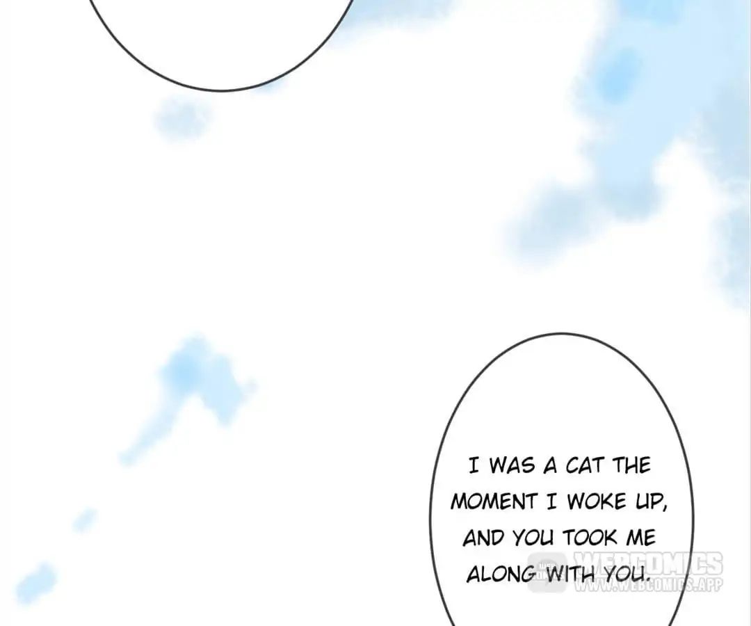 A Cat's World Chapter 7 #58