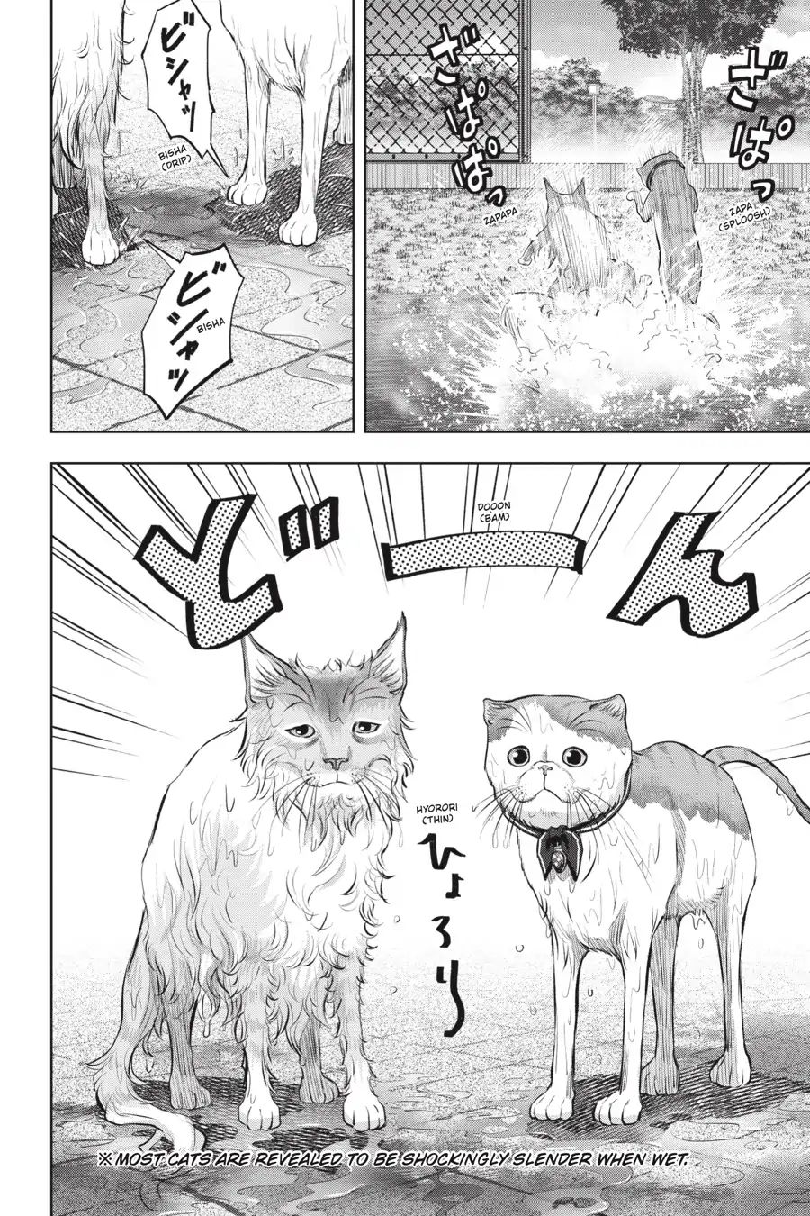 Nyankees Chapter 16 #4