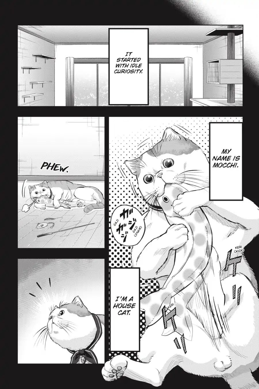 Nyankees Chapter 10 #9