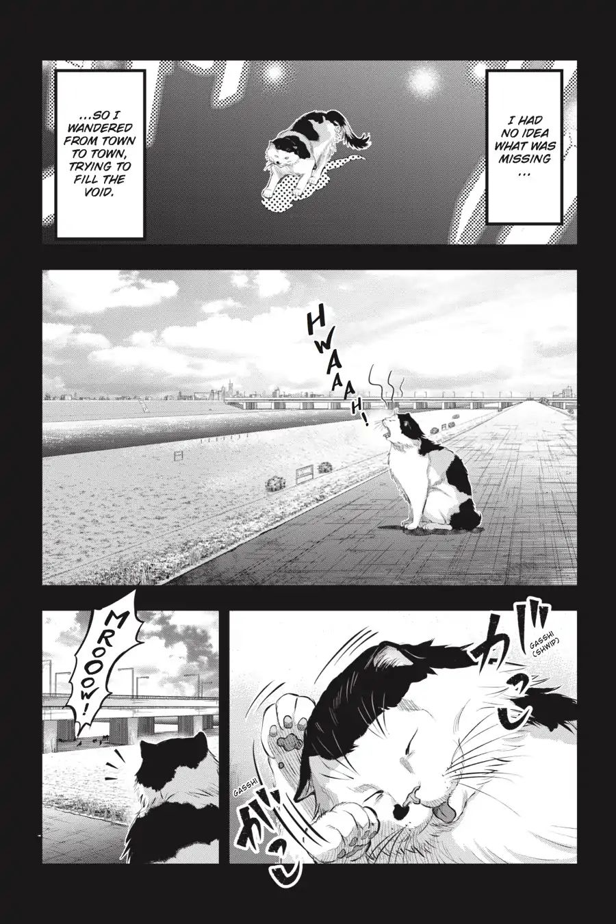 Nyankees Chapter 7 #8