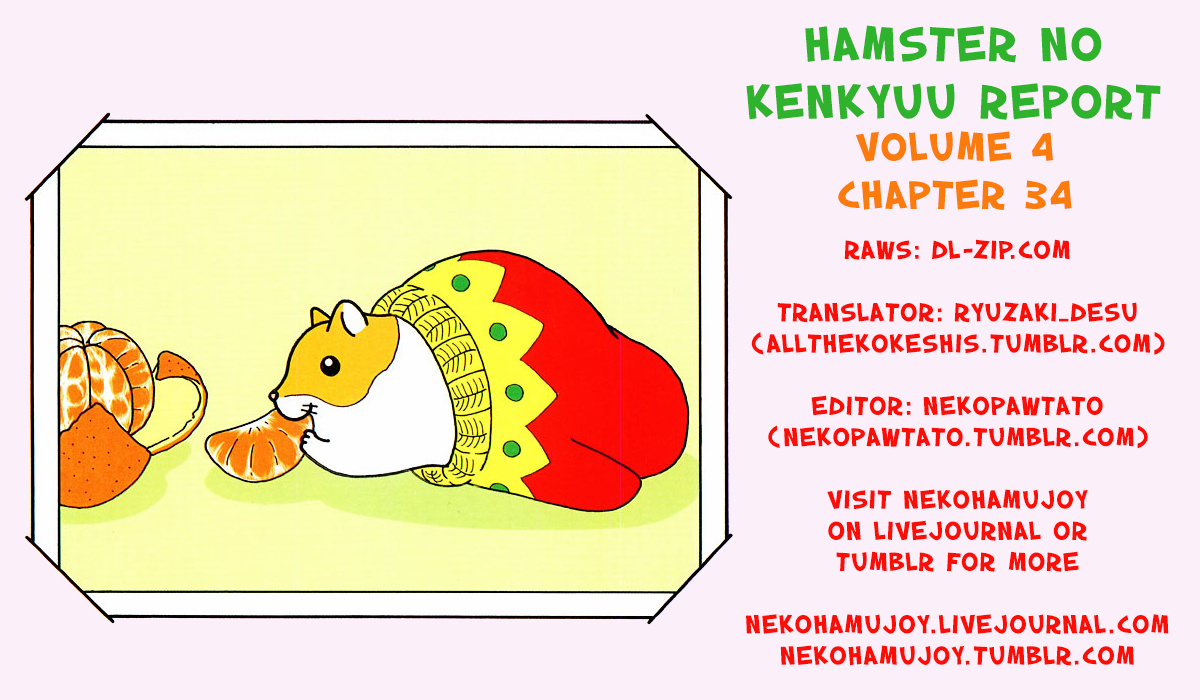 Hamster No Kenkyuu Report Chapter 34 #9