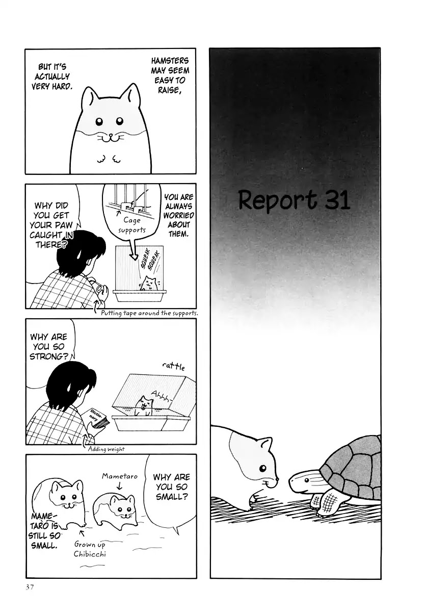 Hamster No Kenkyuu Report Chapter 31 #1