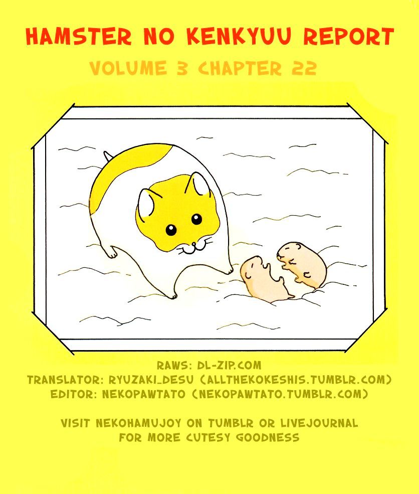 Hamster No Kenkyuu Report Chapter 22 #9