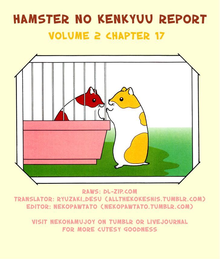 Hamster No Kenkyuu Report Chapter 17 #9