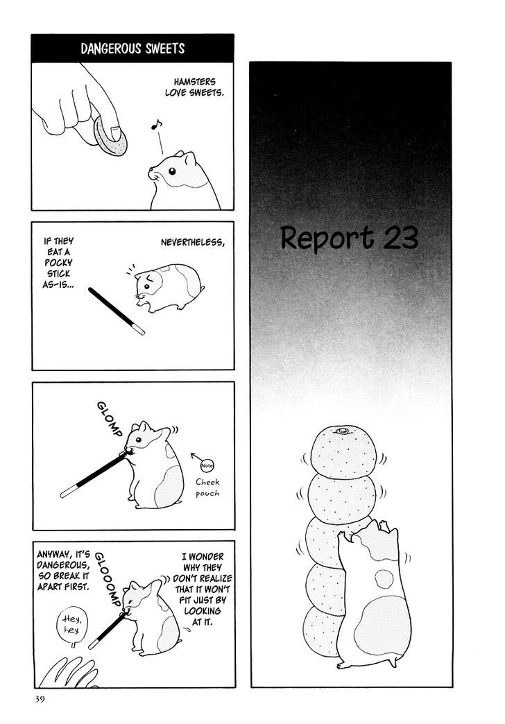 Hamster No Kenkyuu Report Chapter 16 #1