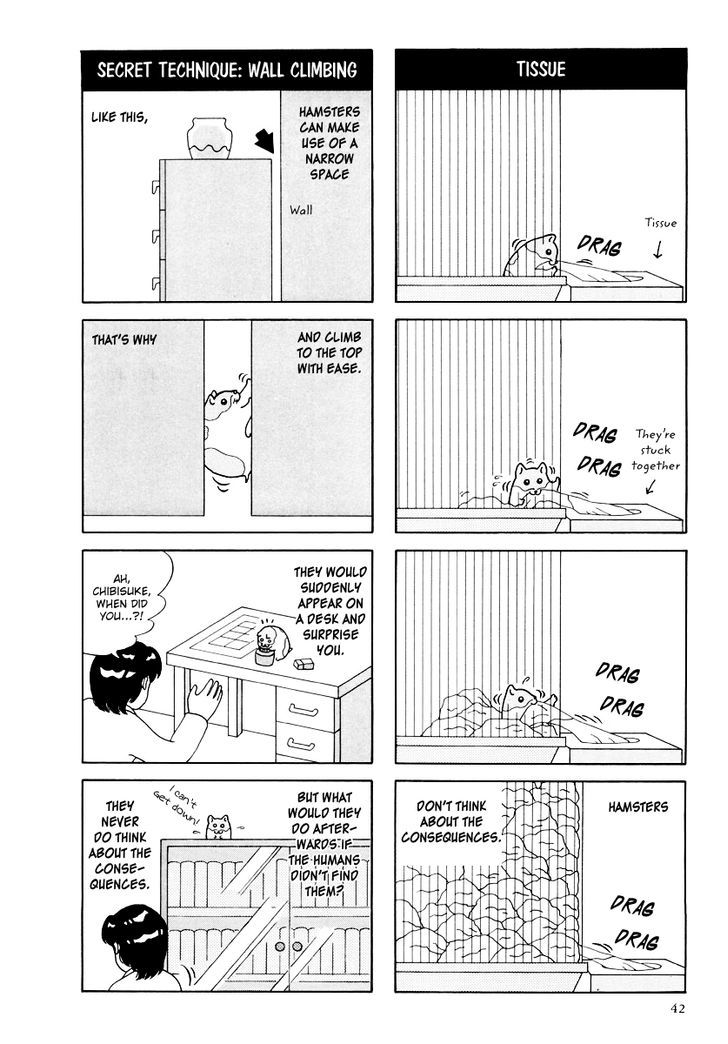 Hamster No Kenkyuu Report Chapter 16 #4
