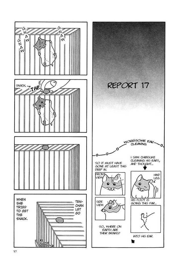 Hamster No Kenkyuu Report Chapter 7 #1