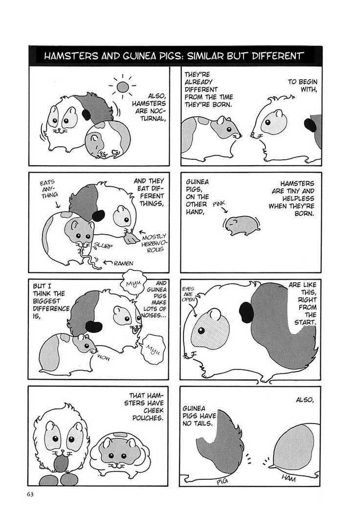 Hamster No Kenkyuu Report Chapter 7 #7