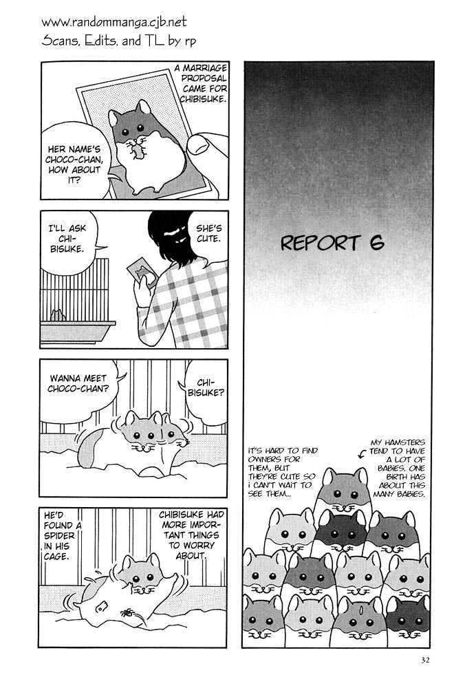 Hamster No Kenkyuu Report Chapter 4 #1