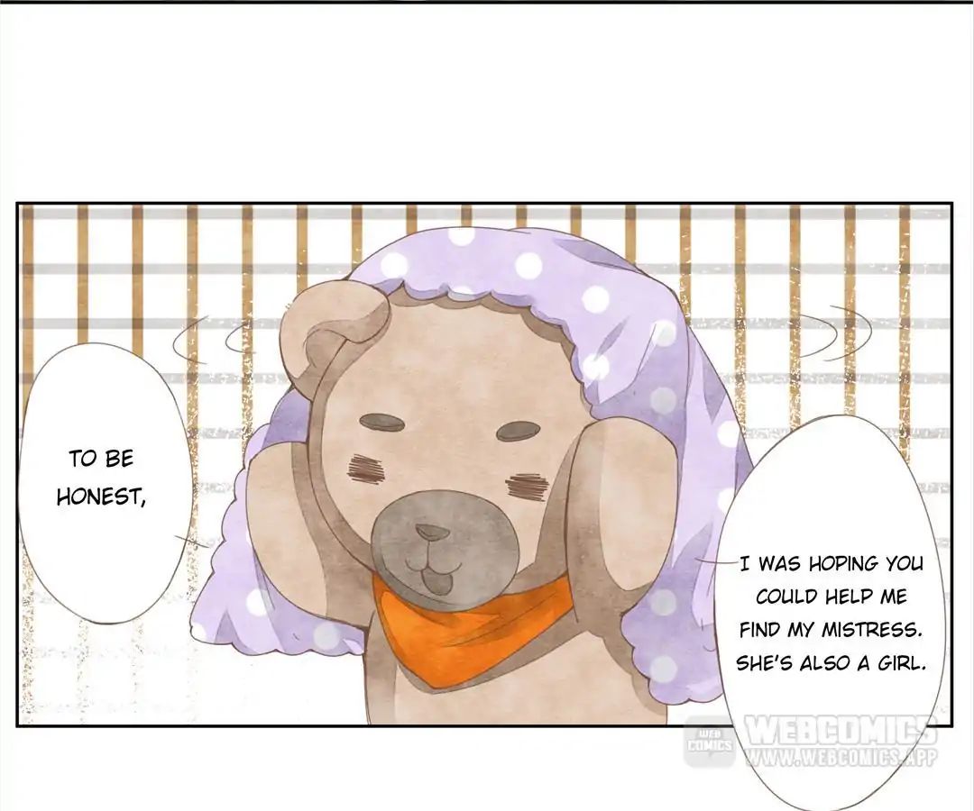 About Teddy Bear Chapter 3 #2