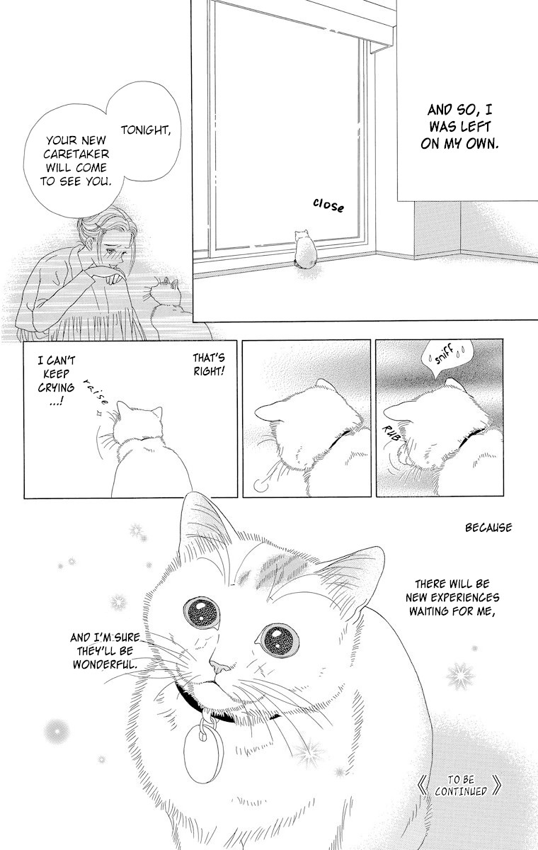 Zoccha No Nichijou Chapter 23 #12