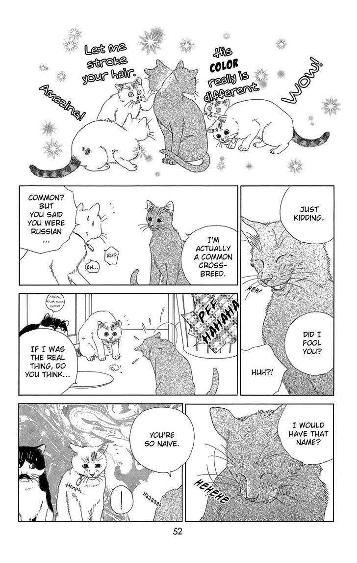 Zoccha No Nichijou Chapter 15 #6