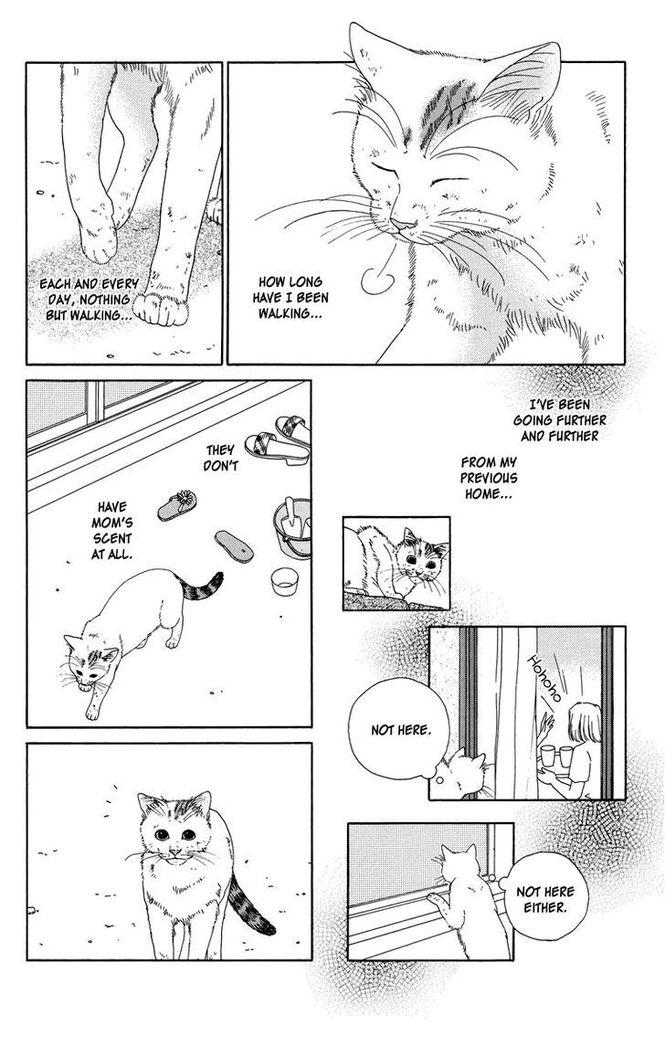 Zoccha No Nichijou Chapter 8 #4