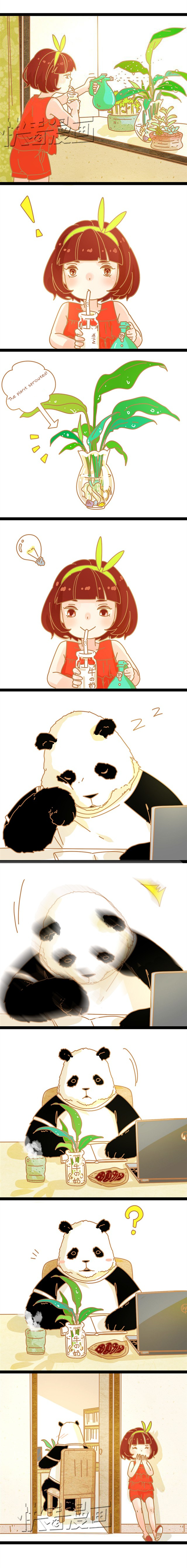 My Panda Boyfriend Chapter 12 #1