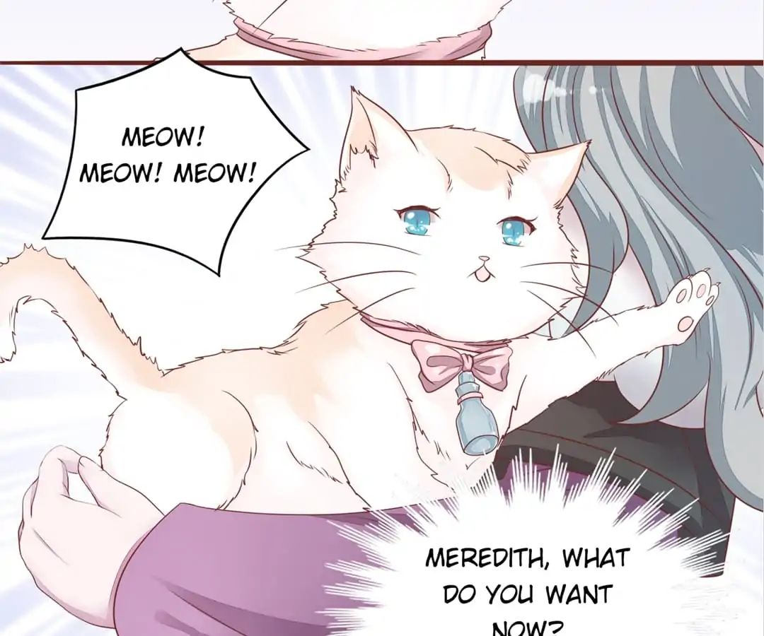 Guide To Raising Kitty Boyfriend Chapter 52 #40