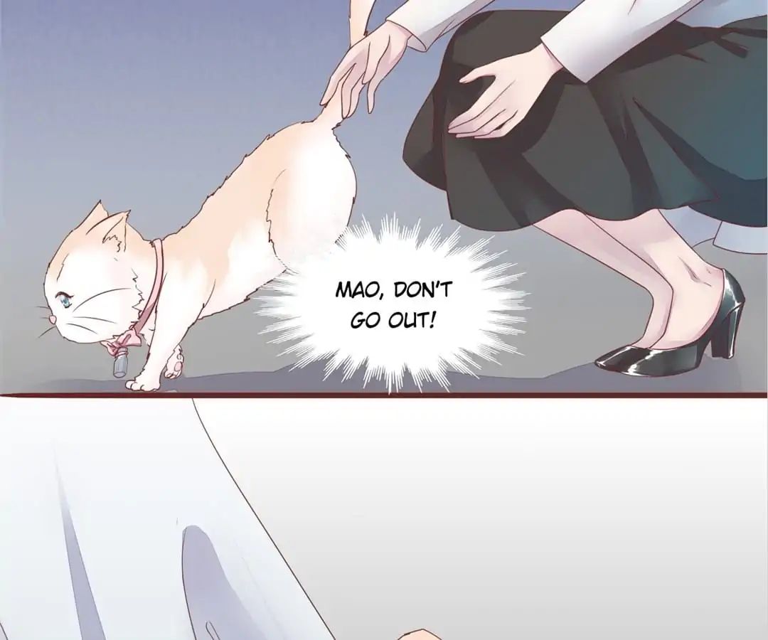 Guide To Raising Kitty Boyfriend Chapter 50 #40