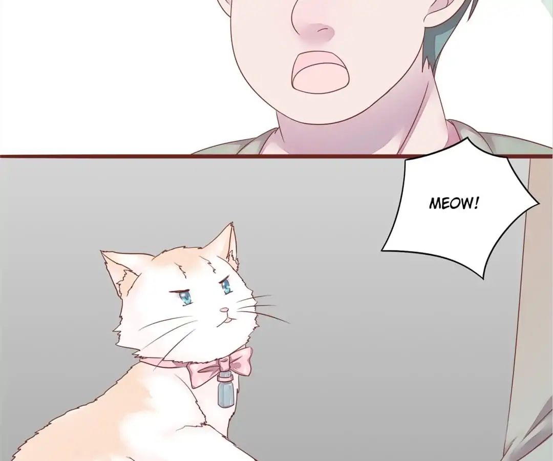 Guide To Raising Kitty Boyfriend Chapter 50 #43