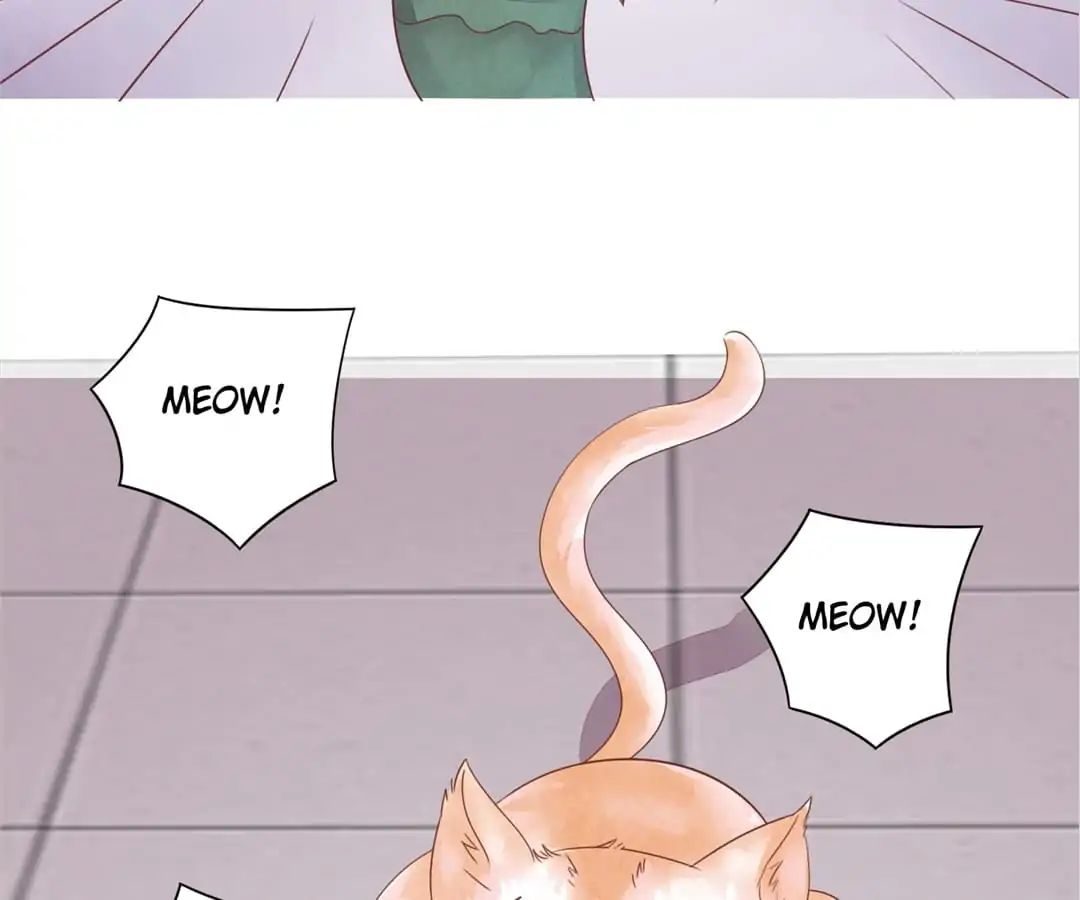 Guide To Raising Kitty Boyfriend Chapter 48 #4