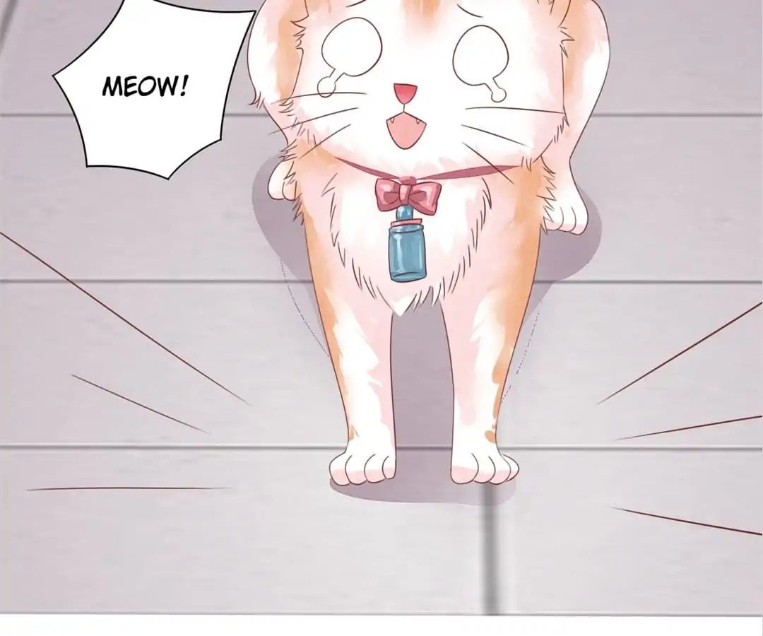 Guide To Raising Kitty Boyfriend Chapter 48 #5