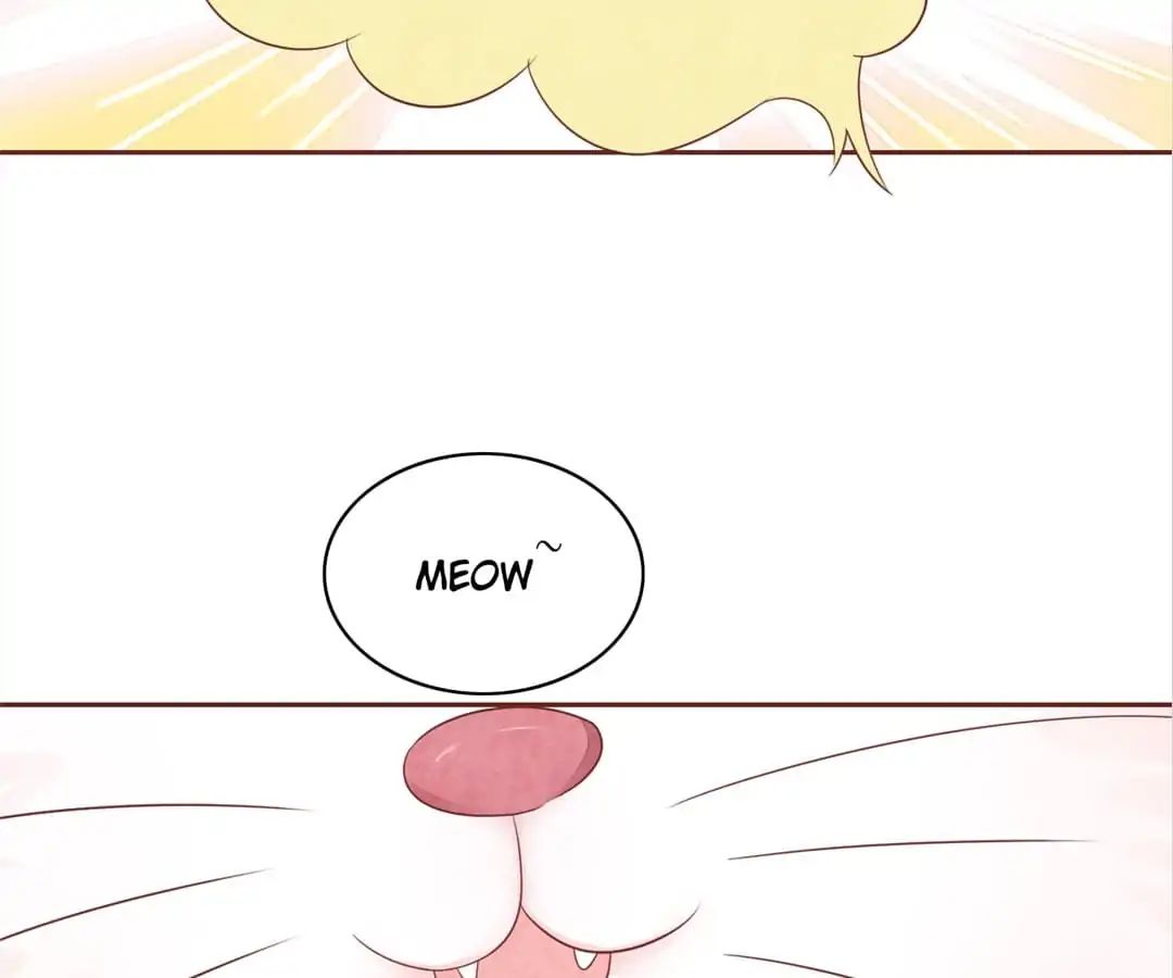 Guide To Raising Kitty Boyfriend Chapter 47 #72