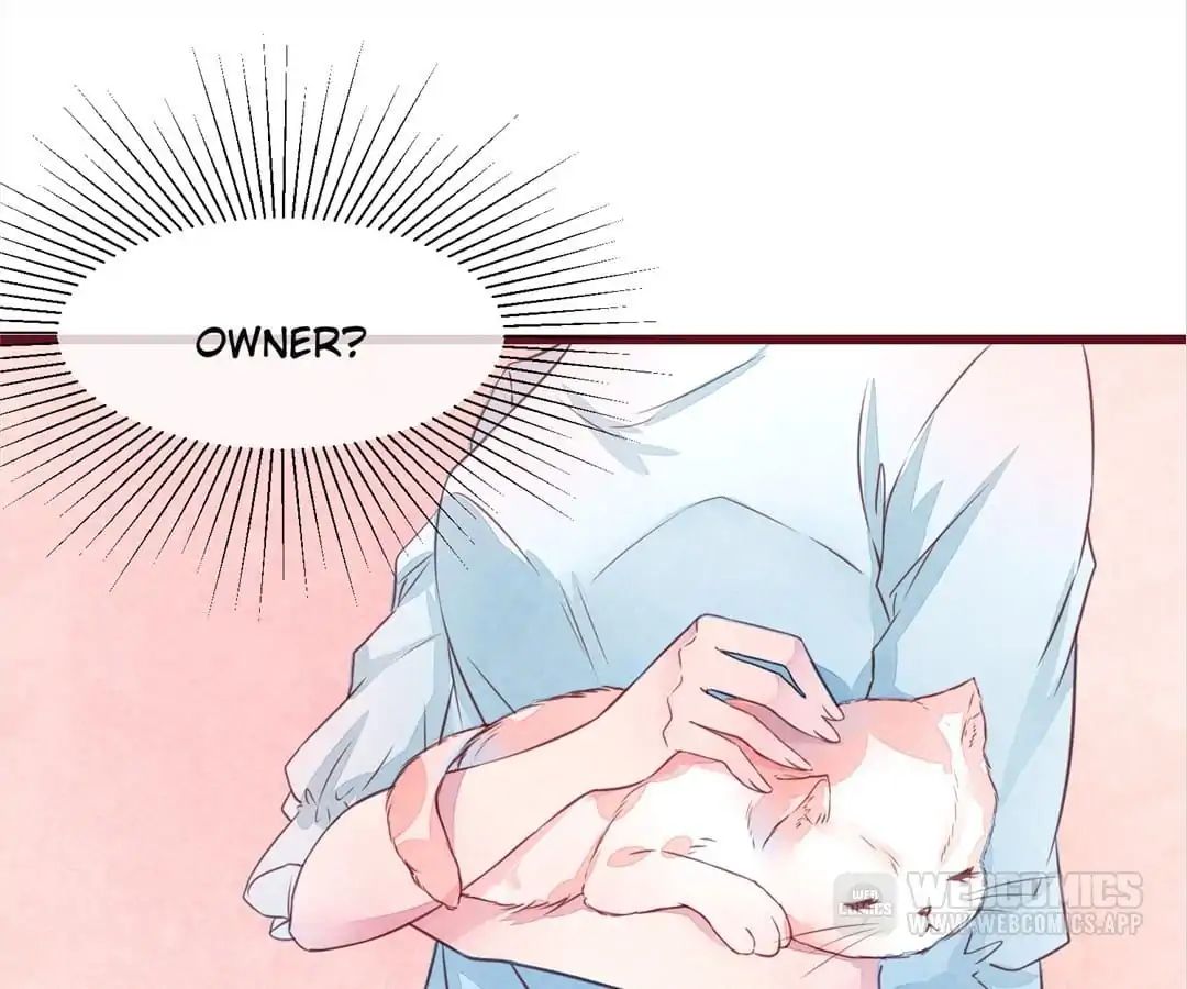 Guide To Raising Kitty Boyfriend Chapter 27 #26