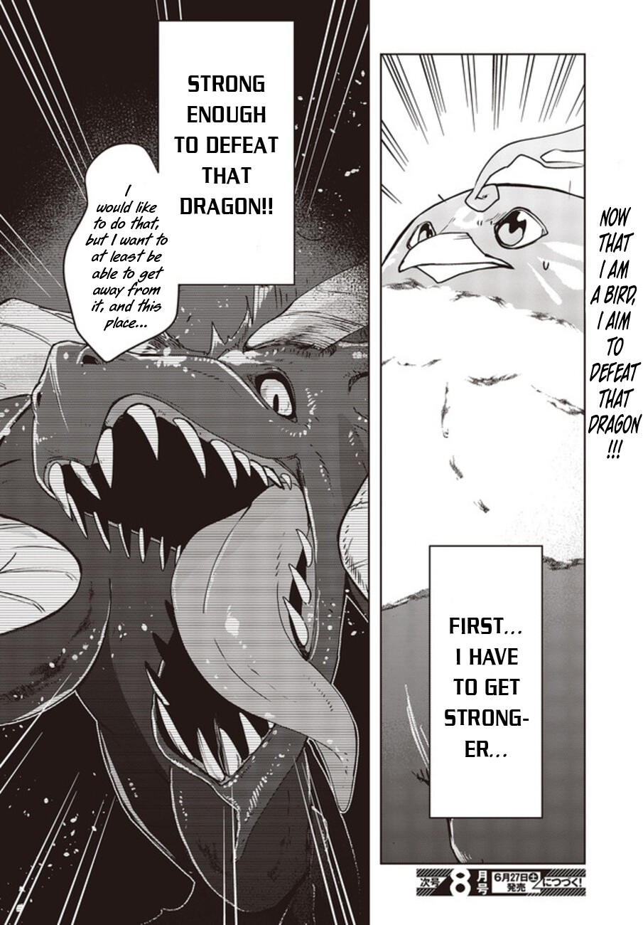 Reborn As A Phoenix: A Normal Bird Can't Beat A Dragon, Right? Chapter 2 #27