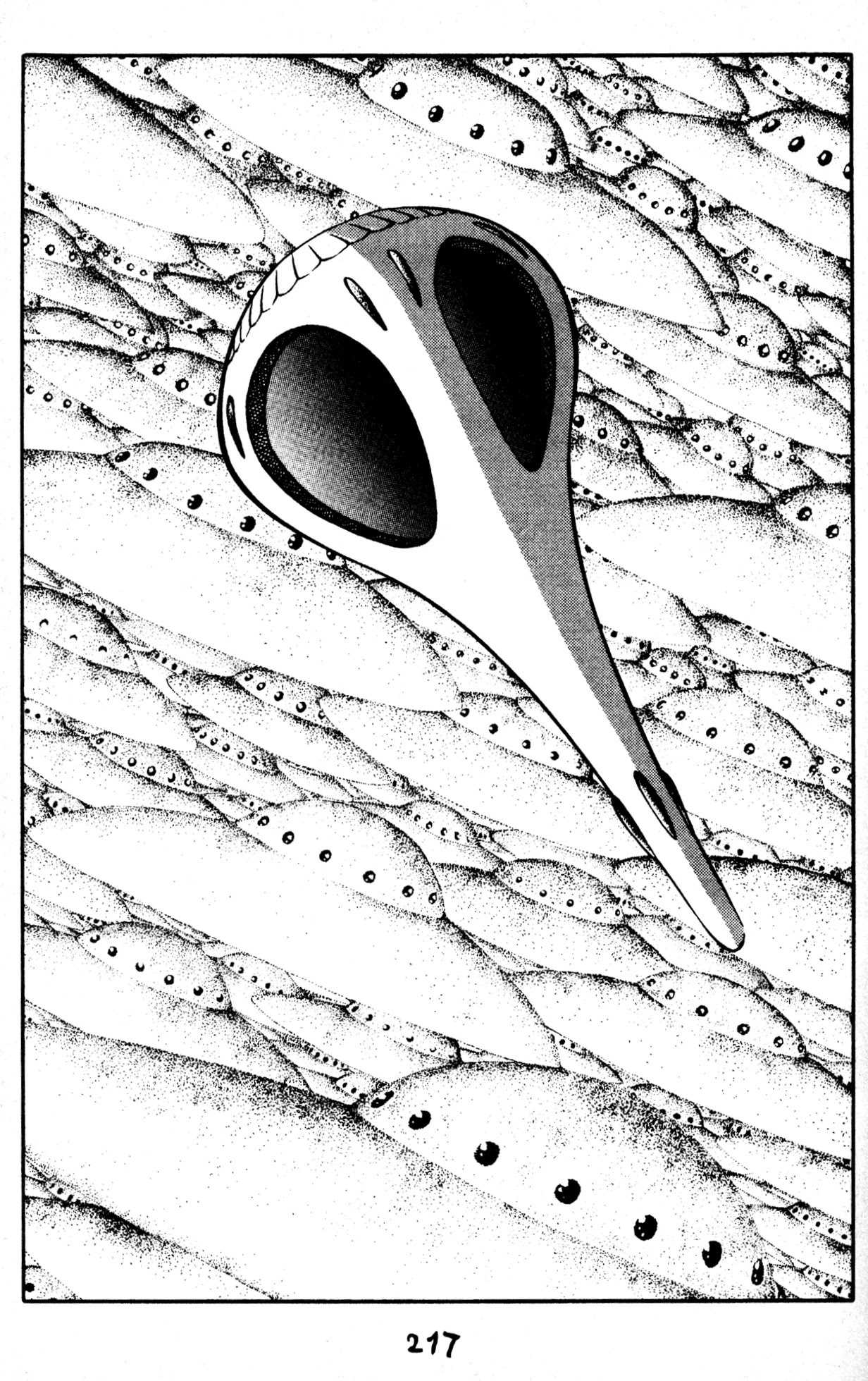 Skull Man (Shimamoto Kazuhiko) Chapter 50 #16