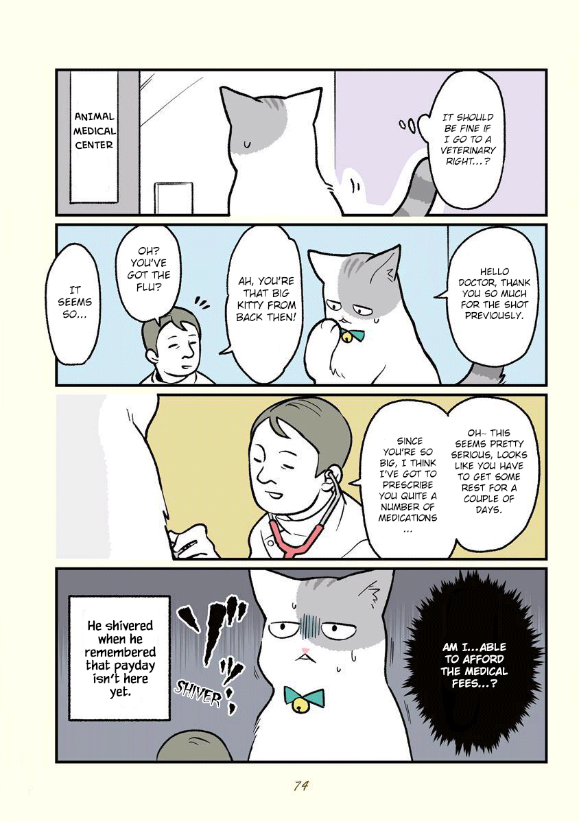 Black Company's Employee Become Cats, Life Changed Story. Chapter 7 #11