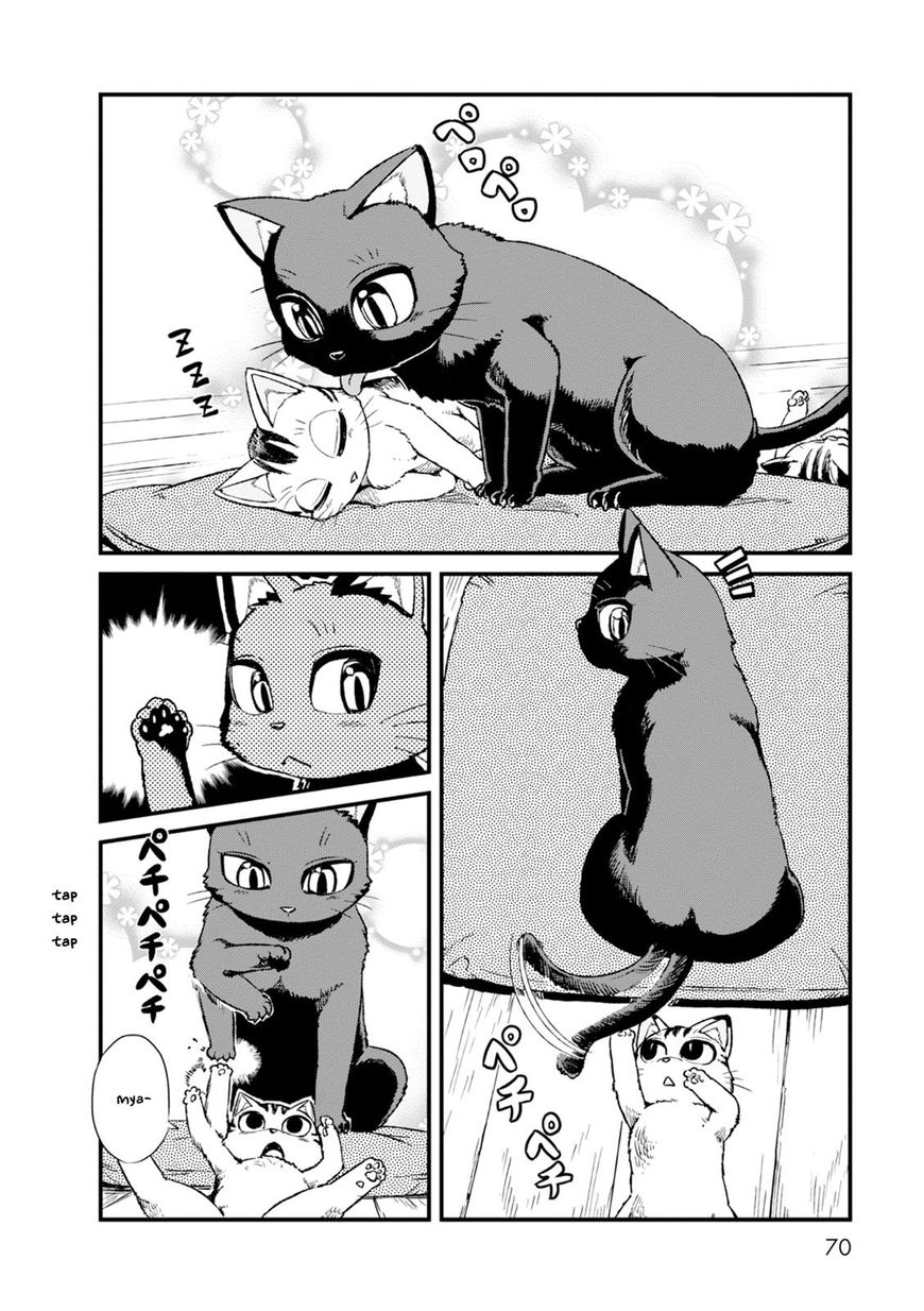 Neko Musume Michikusa Nikki Chapter 83 #4