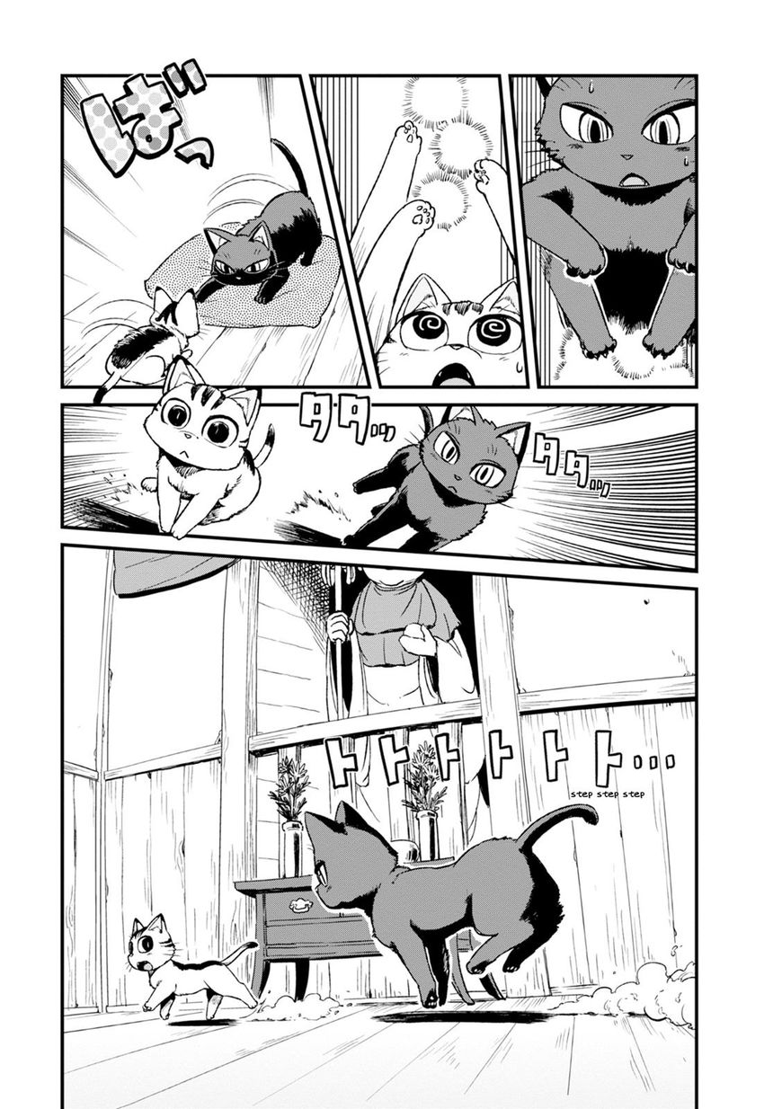 Neko Musume Michikusa Nikki Chapter 83 #5