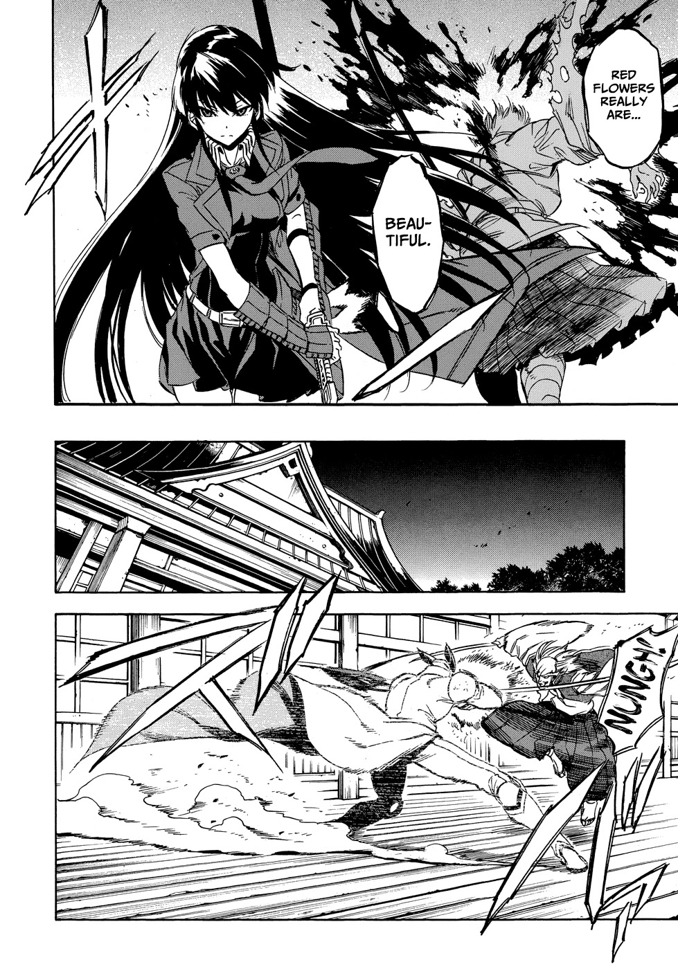 Akame Ga Kiru! 1.5 Chapter 2 #50