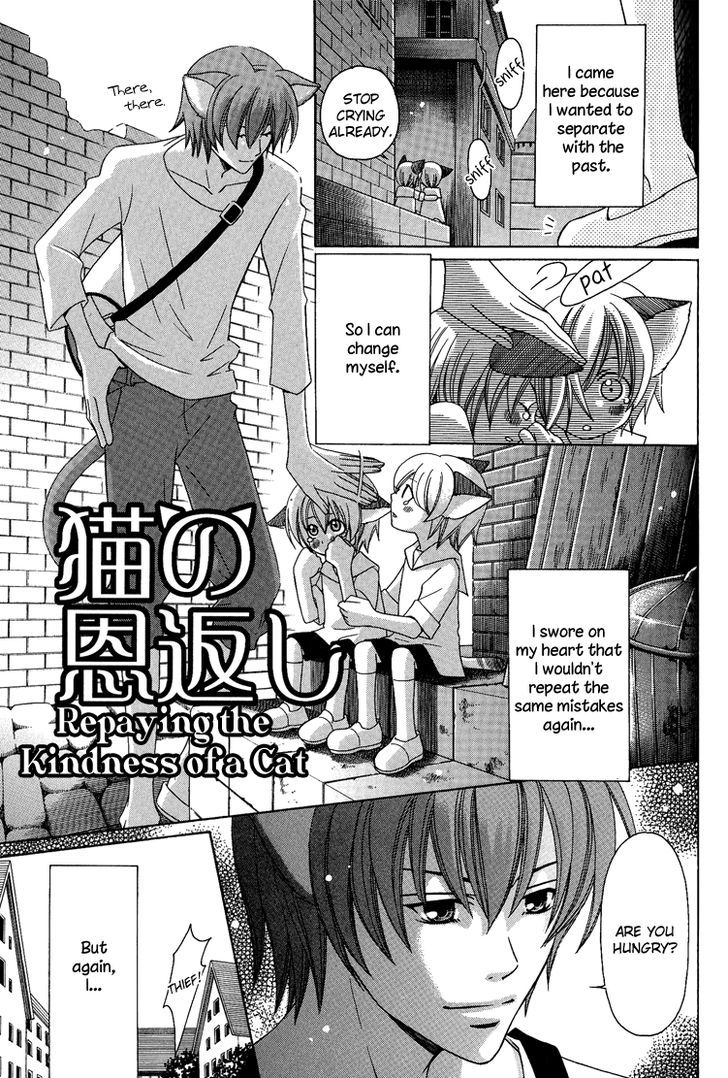 Neko No Yomeiri Chapter 3 #3