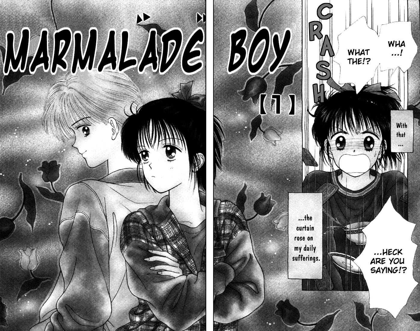 Marmalade Boy Chapter 1 #4