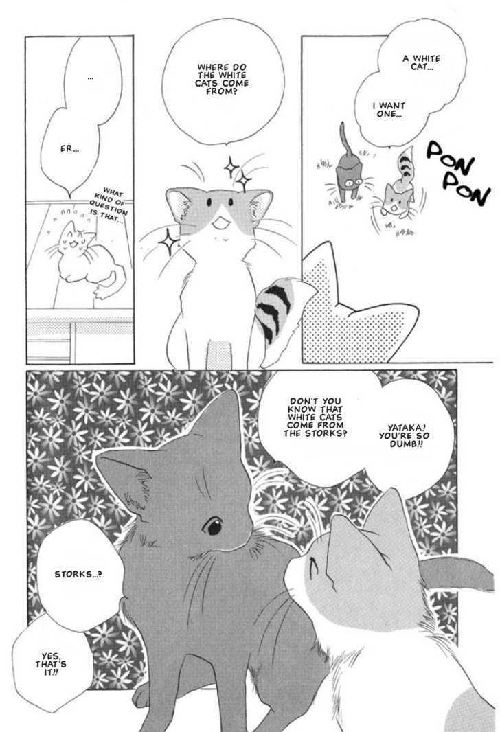 Shippo No Kimochi Chapter 10 #2