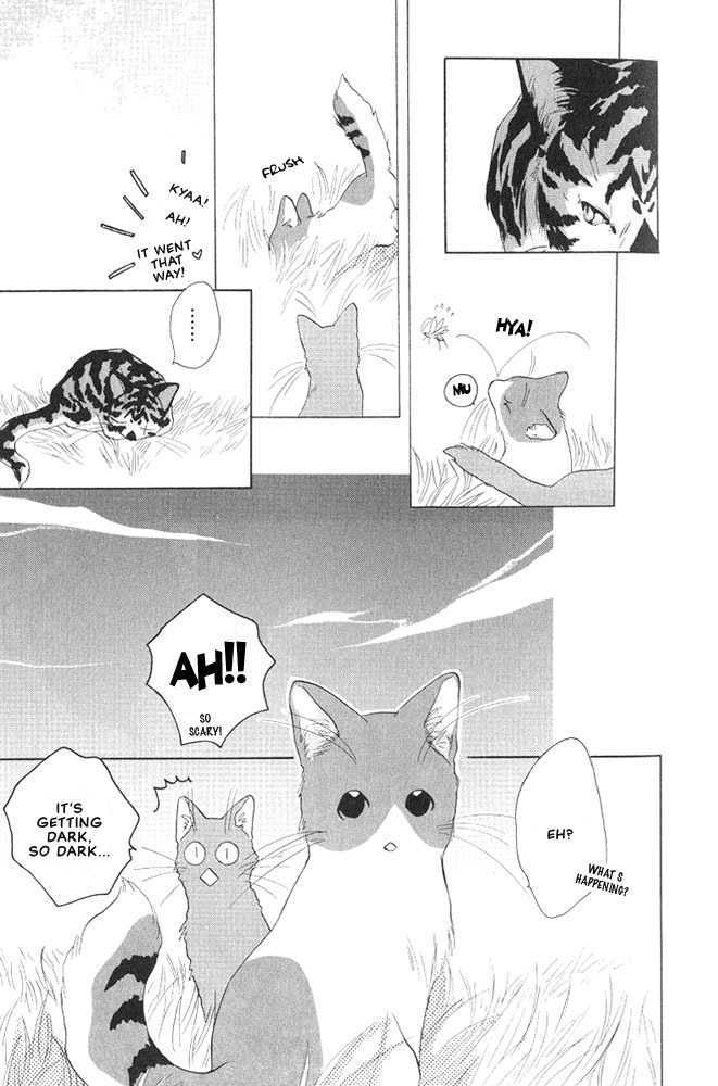 Shippo No Kimochi Chapter 4 #6